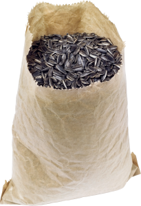 Sunflower seeds PNG-42930